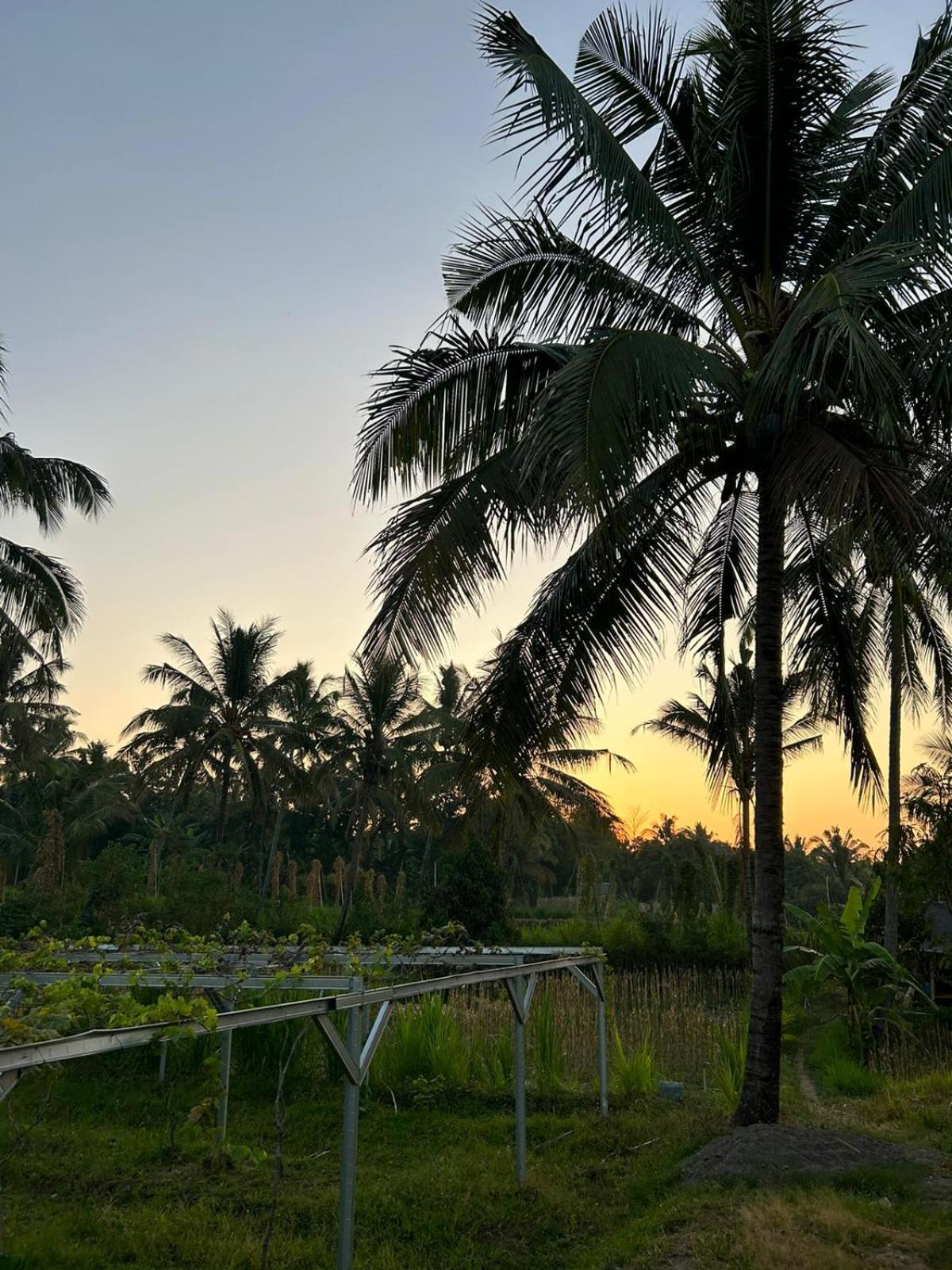 Rinjani Eco Villa Senaru Bayan Exteriér fotografie