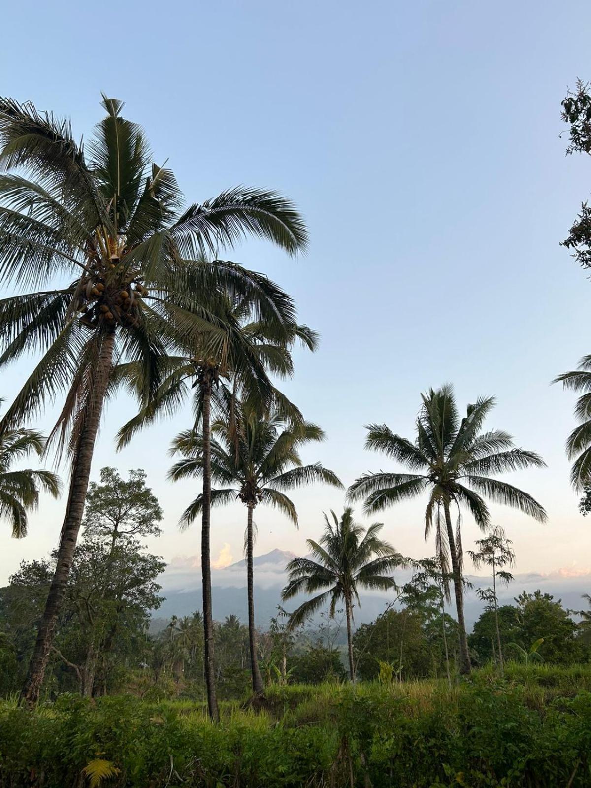 Rinjani Eco Villa Senaru Bayan Exteriér fotografie
