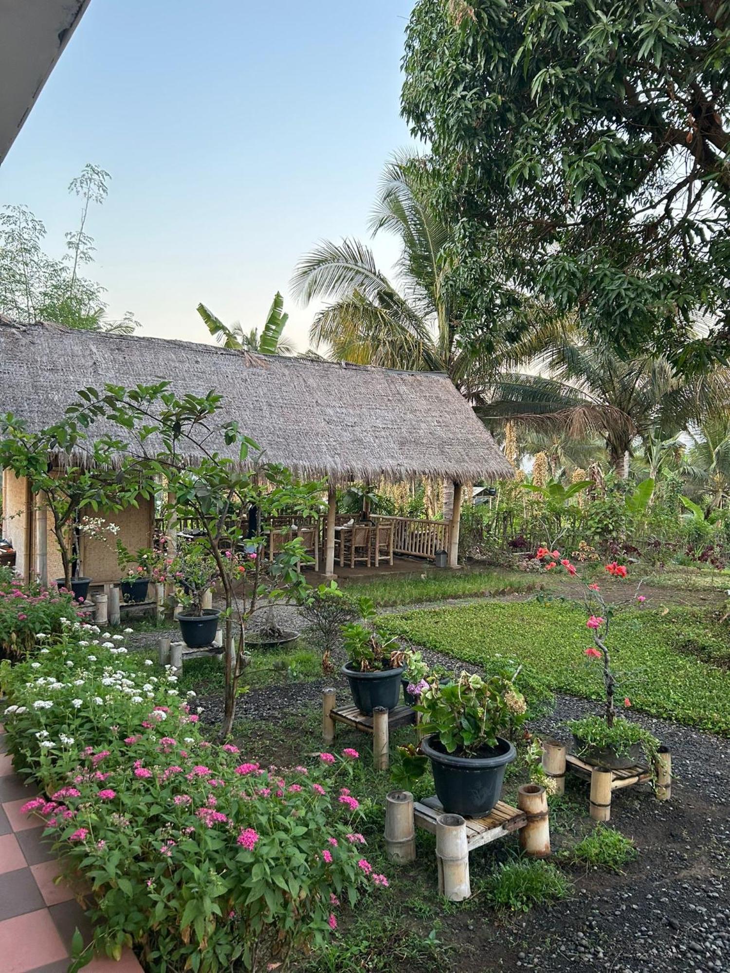 Rinjani Eco Villa Senaru Bayan Exteriér fotografie