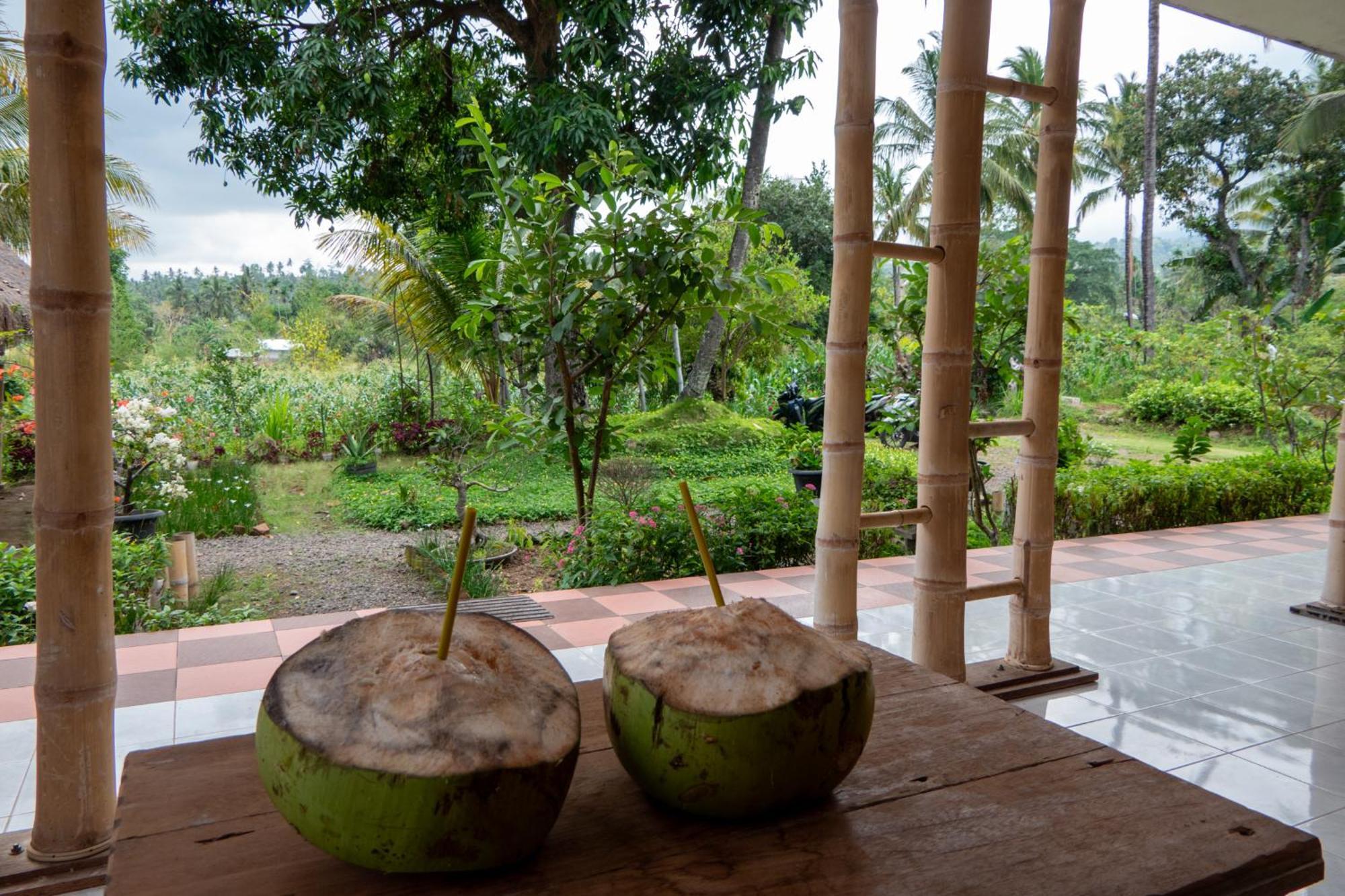 Rinjani Eco Villa Senaru Bayan Exteriér fotografie
