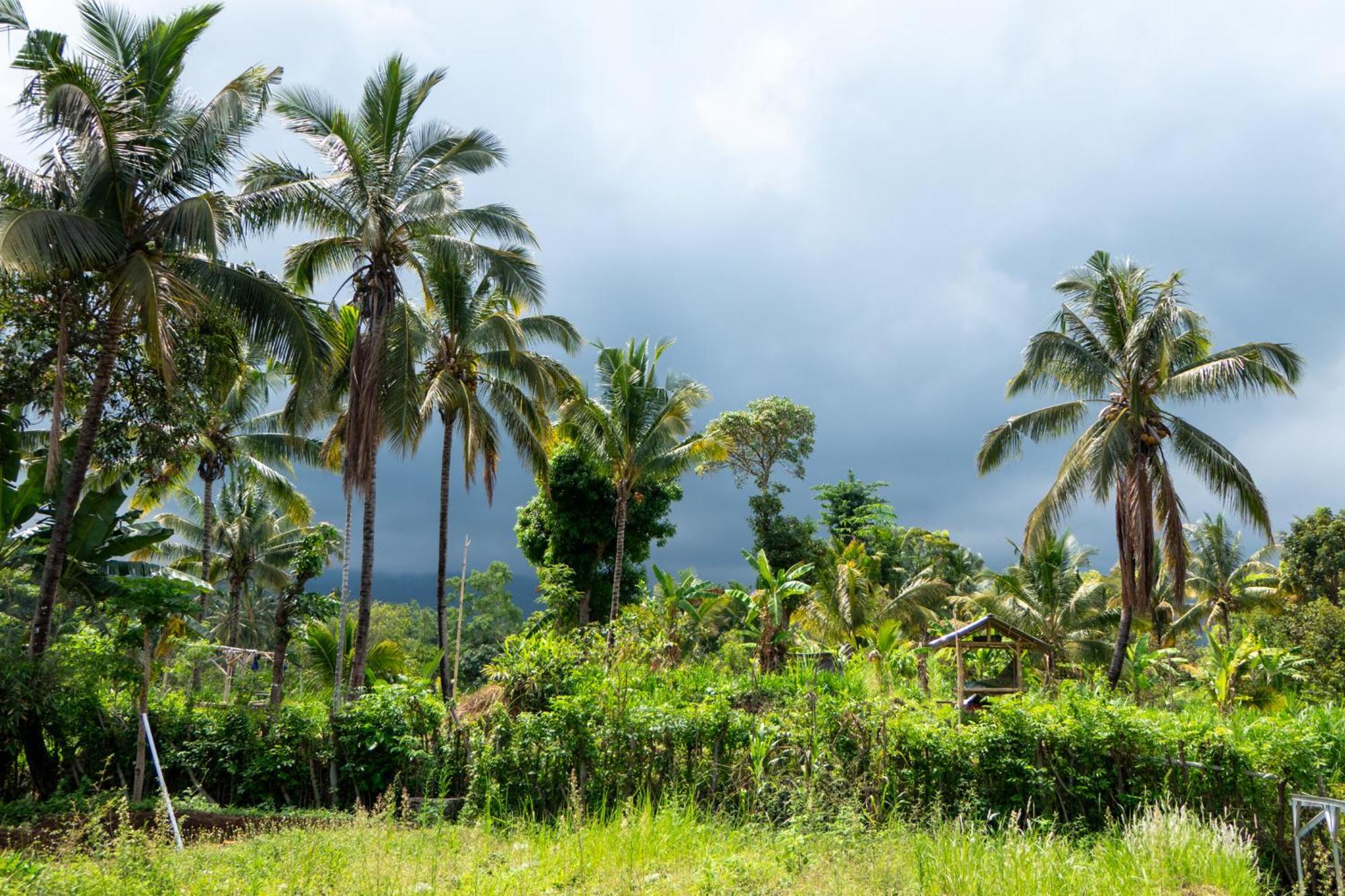Rinjani Eco Villa Senaru Bayan Exteriér fotografie